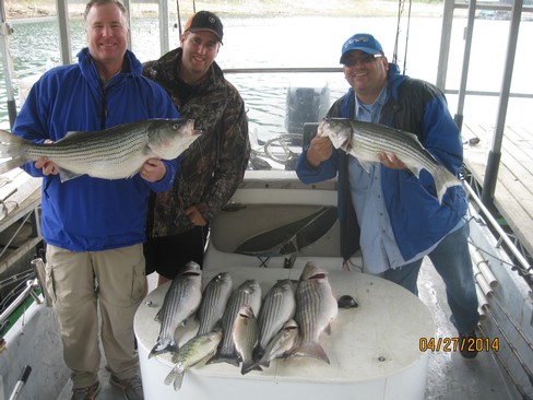 Nice Striped Bass